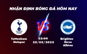 tottenham hotspur brighton hove albion 25 05 ngoai hang anh